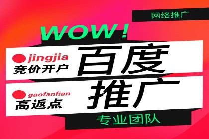 深度解析：百度推广费用与ROI的关联案例